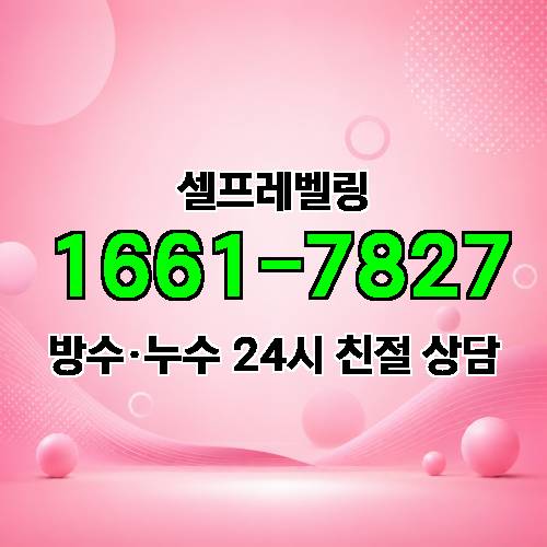 게시판 이미지 997