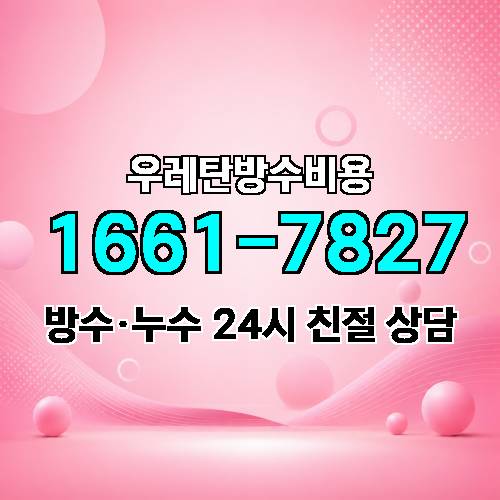 게시판 이미지 2040